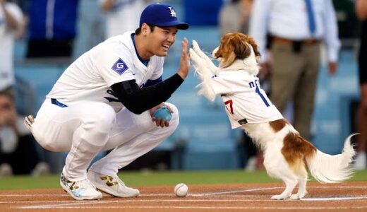 大谷翔平のデコピンはいつから飼ってる？年齢や犬種も紹介